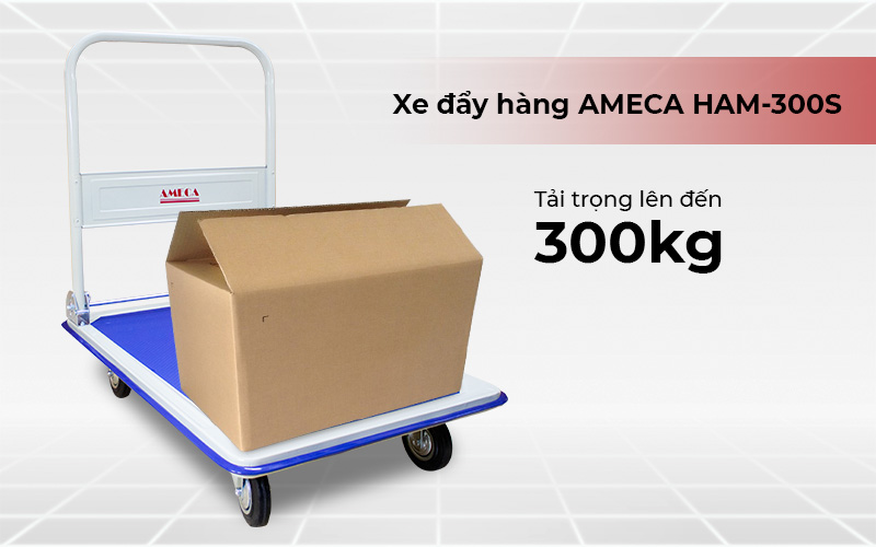 xe đẩy Ameca HAM-300S