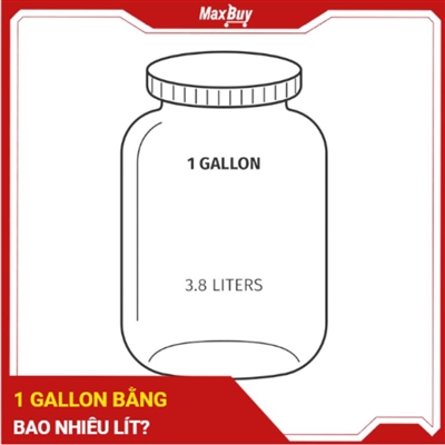 1 Gallon bằng bao nhiêu lít? Quy đổi chuẩn và cách tính chuẩn