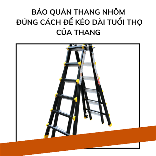 Bảo quản thang nhôm đúng cách để kéo dài tuổi thọ của thang 