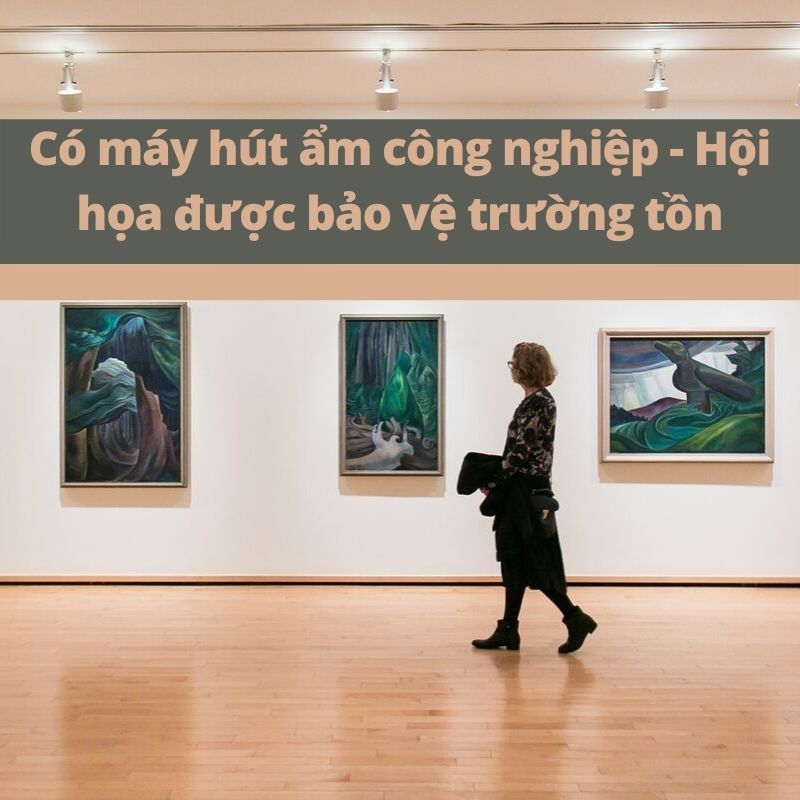 Có máy hút ẩm công nghiệp - Hội họa được bảo vệ trường tồn