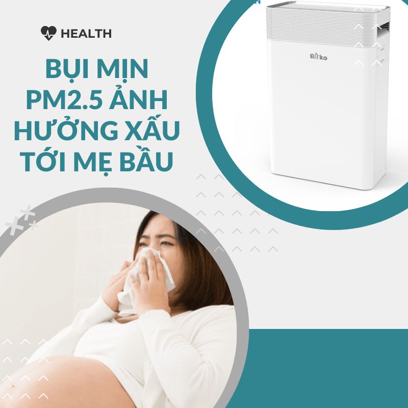 Bụi mịn PM2.5 có ảnh hưởng tiêu cực như nào đến sức khỏe bà bầu?