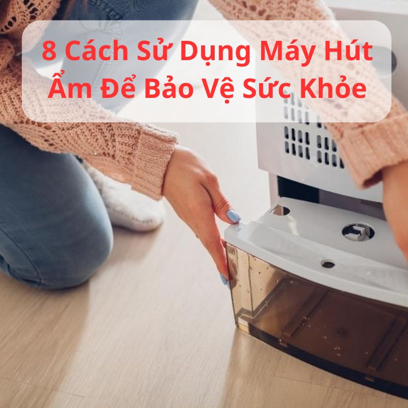 8 Cách Sử Dụng Máy Hút Ẩm  Để Bảo Vệ Sức Khỏe