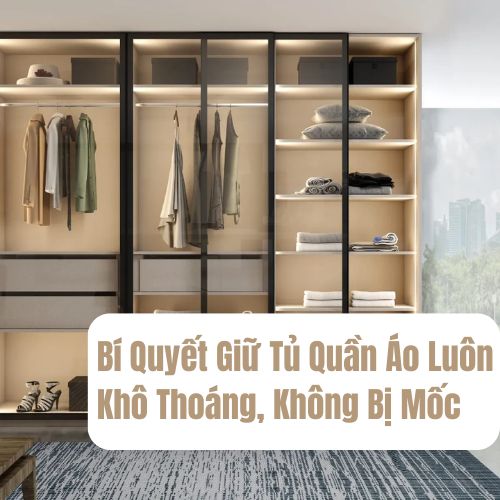 Bí Quyết Giữ Tủ Quần Áo Luôn Khô Thoáng, Không Bị Mốc