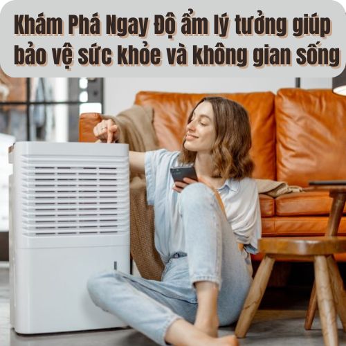 Tìm Hiểu Độ Ẩm Lý Tưởng Cho Không Gian Sống Và Làm Việc