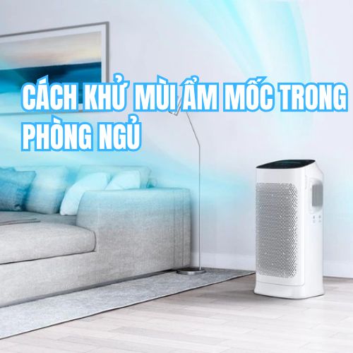 Cách Khử Mùi Ẩm Mốc Trong Phòng Ngủ Khi Trời Nồm Ẩm Kéo Dài