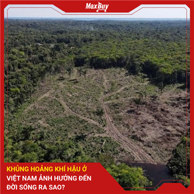 Khủng Hoảng Khí Hậu Ở Việt Nam Ảnh Hưởng Đến Đời Sống Ra Sao? 