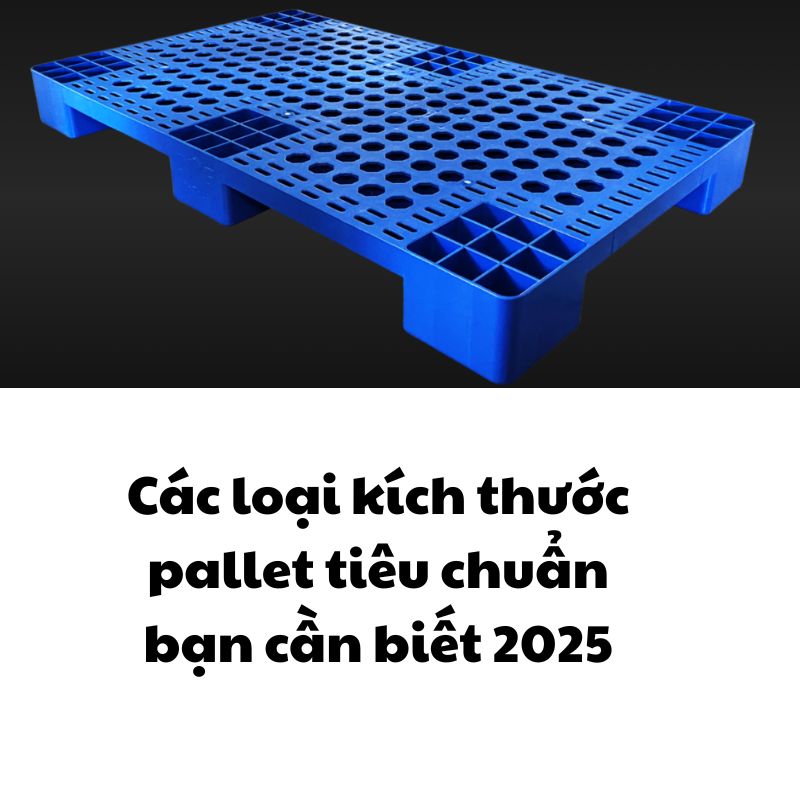 Các loại kích thước pallet tiêu chuẩn bạn cần biết 2025