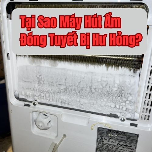 Cảnh Báo: Tại Sao Máy Hút Ẩm Đóng Tuyết Bị Hư Hỏng? Cách Sửa Nhanh Tránh Hư Hại