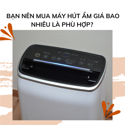 Bạn nên mua máy hút ẩm giá bao nhiêu là phù hợp?