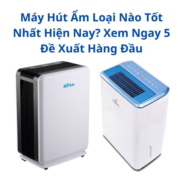 Máy Hút Ẩm Loại Nào Tốt Nhất Hiện Nay? Xem Ngay 5 Đề Xuất Hàng Đầu