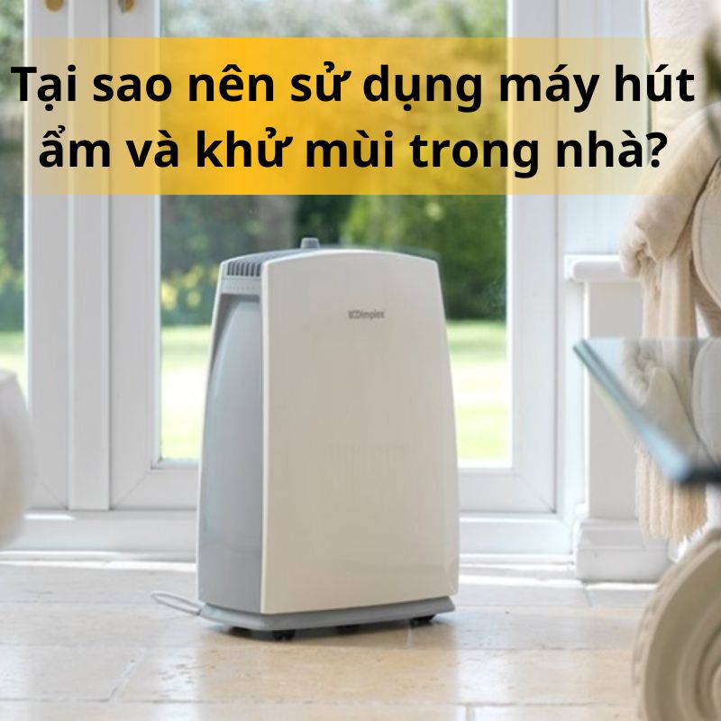 Tại sao nên sử dụng máy hút ẩm và khử mùi trong nhà?