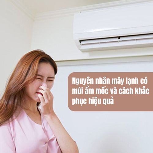 Nguyên nhân máy lạnh có mùi ẩm mốc và cách khắc phục hiệu quả