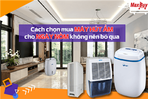 Cách chọn mua máy hút ẩm cho ngày nồm không nên bỏ qua