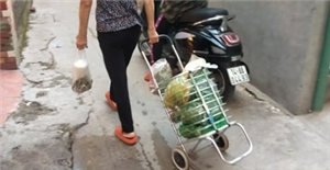 Cách chọn xe kéo hàng 2 bánh cho các bà các mẹ đi chợ 