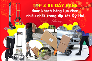 Top 3 xe đẩy hàng 2 bánh được khách hàng lựa chọn nhiều trong dịp tết Kỷ Hợi