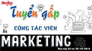 Tuyển dụng CTV Marketing Online Quý IV 2016