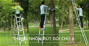 Vì sao thang rút đôi chữ A Nikawa được tin dùng nhiều hiện nay?