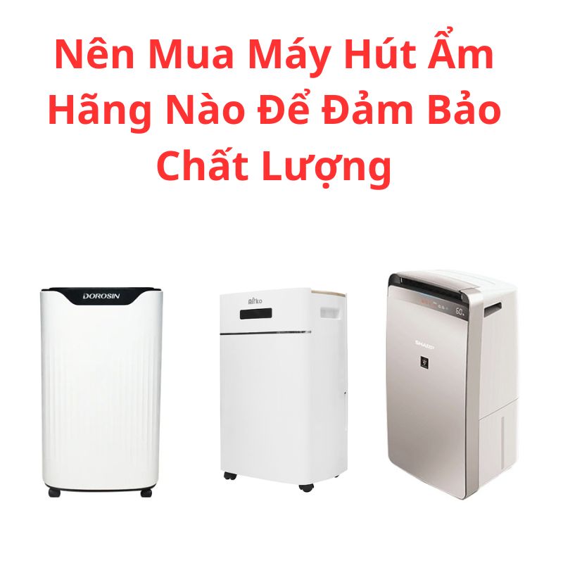 Nên Mua Máy Hút Ẩm Hãng Nào Để Đảm Bảo Chất Lượng