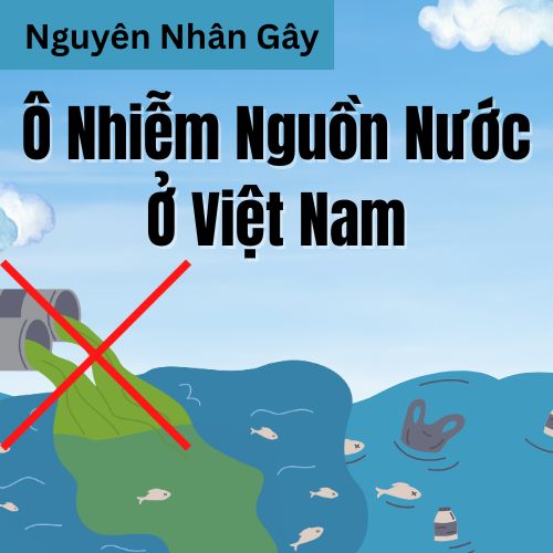 Nguyên Nhân Gây Ô Nhiễm Nguồn Nước Ở Việt Nam Và Thực Trạng Đáng Báo Động