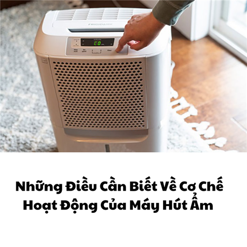 Những Điều Cần Biết Về Cơ Chế Hoạt Động Của Máy Hút Ẩm 