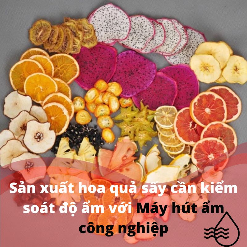 Sản xuất hoa quả sấy cần kiểm soát độ ẩm với Máy hút ẩm công nghiệp