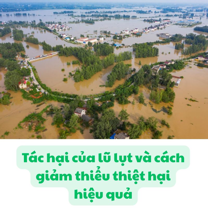 Tác hại của lũ lụt và cách giảm thiểu thiệt hại hiệu quả