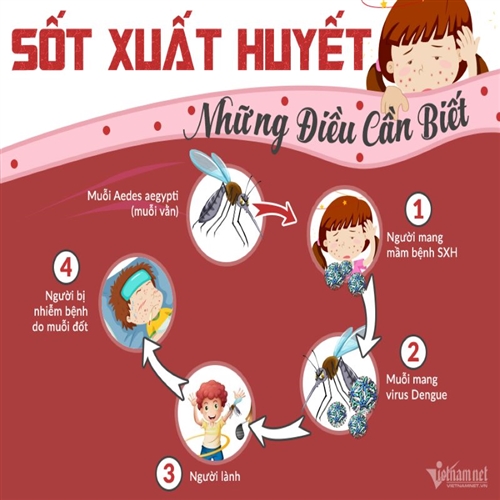 Sốt xuất huyết và cách phòng tránh hiệu quả cùng Máy hút ẩm