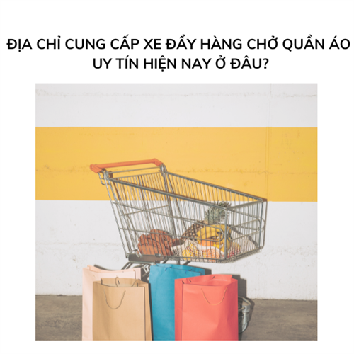 Địa chỉ cung cấp xe đẩy hàng chở quần áo uy tín hiện nay?