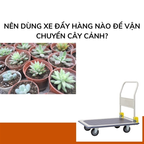 Nên dùng xe đẩy hàng nào để vận chuyển cây cảnh?