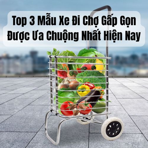 Top 3 Mẫu Xe Đi Chợ Gấp Gọn Được Ưa Chuộng Nhất Hiện Nay