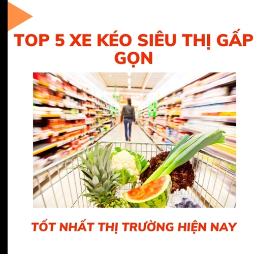 Top 5 Xe kéo đi siêu thị gấp gọn tốt nhất thị trường hiện nay