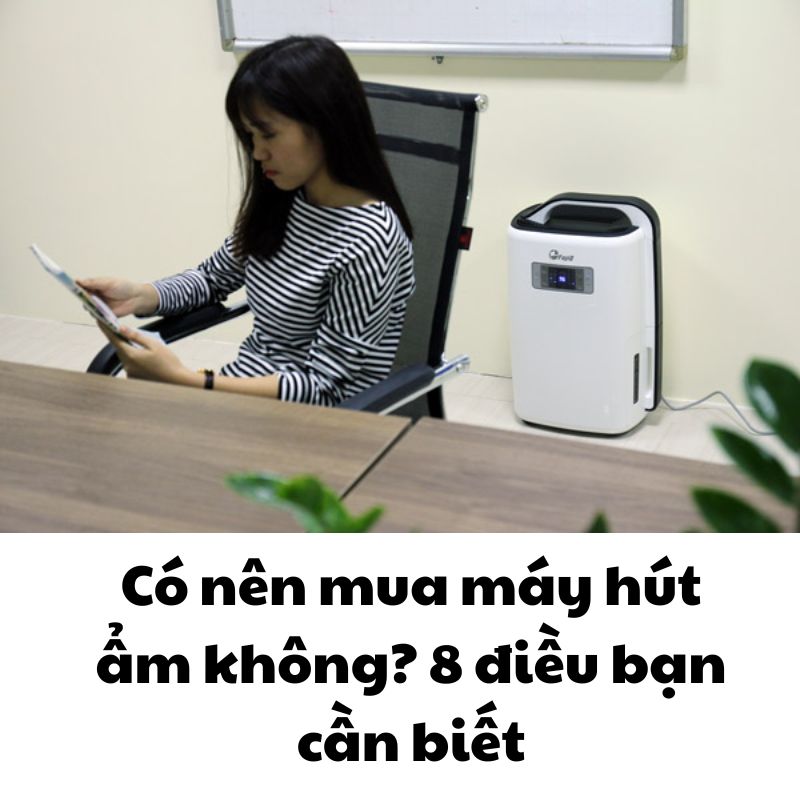 Có nên mua máy hút ẩm không? 8 điều bạn cần biết