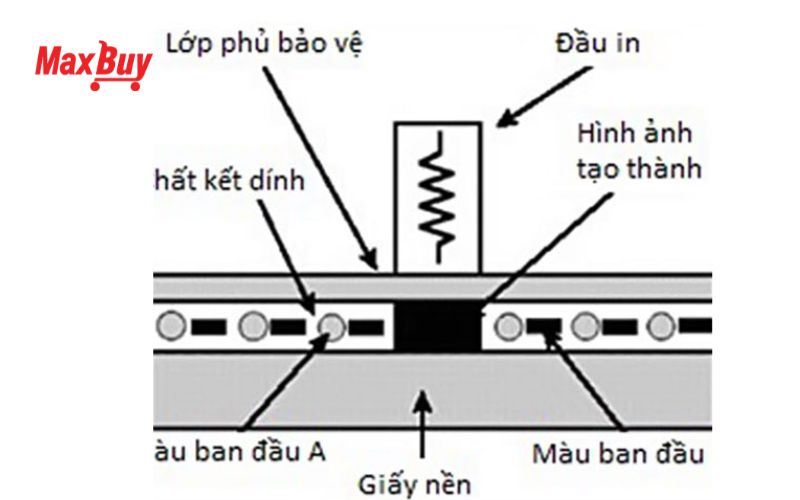 huong-dan-su-dung-may-in-hoa-don 