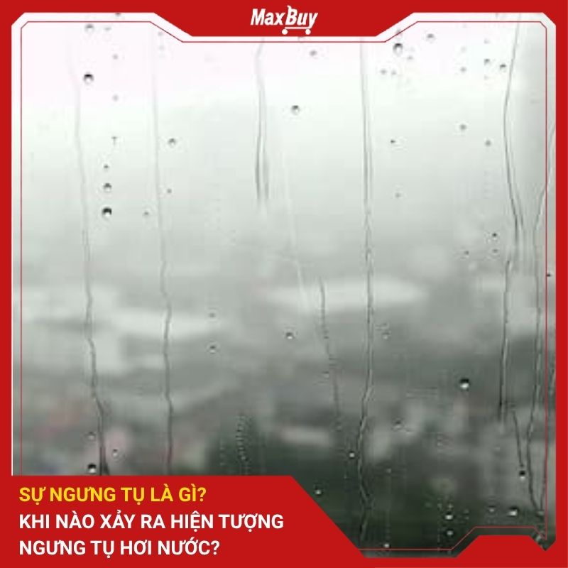 Sự Ngưng Tụ Là Gì? Khi Nào Xảy Ra Hiện Tượng Ngưng Tụ Hơi Nước?