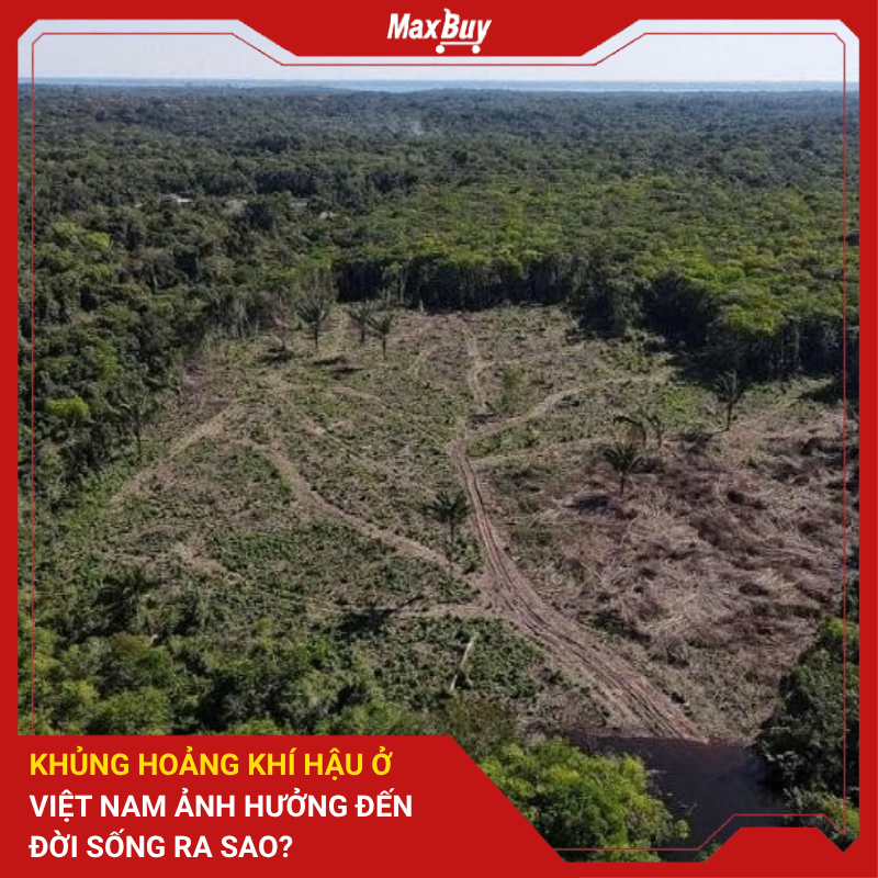 Khủng Hoảng Khí Hậu Ở Việt Nam Ảnh Hưởng Đến Đời Sống Ra Sao? 