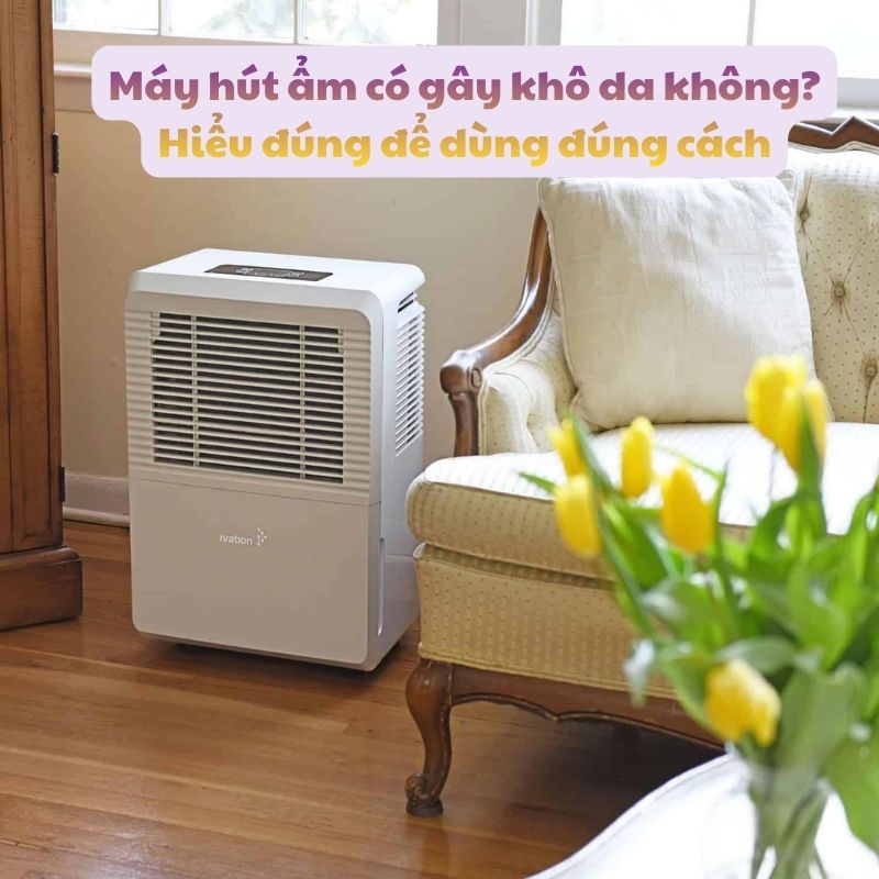 Máy hút ẩm có gây khô da không? Hiểu đúng để dùng đúng cách