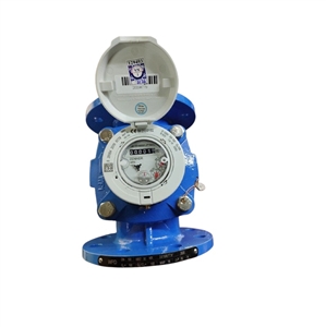 Đồng hồ đo nước Zenner WPD Q3 100 DN100 cấp 2