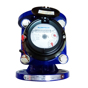 Đồng hồ nước sạch Flowtech DN80
