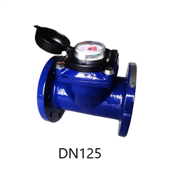 Đồng hồ nước T-Flow Malaysia DN125