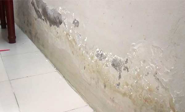 Cách xử lý tường nhà bị ẩm mốc, ngấm nước