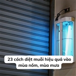 23 cách diệt muỗi hiệu quả vào mùa nồm, mùa mưa