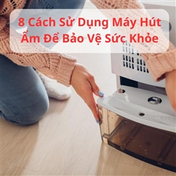 8 Cách Sử Dụng Máy Hút Ẩm  Để Bảo Vệ Sức Khỏe