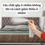 10 Cách Khử Mùi Phòng Ngủ Hiệu Quả và Đơn Giản Tại Nhà