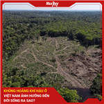 Khủng Hoảng Khí Hậu Ở Việt Nam Ảnh Hưởng Đến Đời Sống Ra Sao? 