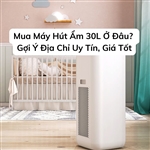 Mua Máy Hút Ẩm 30L Ở Đâu? Gợi Ý Địa Chỉ Uy Tín, Giá Tốt