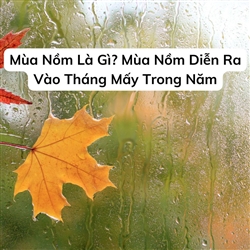 Mùa Nồm Là Gì? Mùa Nồm Diễn Ra Vào Tháng Mấy Trong Năm