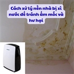 Cách xử lý nền nhà bị xì nước để tránh ẩm mốc và hư hại