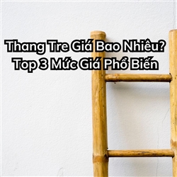 Thang Tre Giá Bao Nhiêu? Top 3 Mức Giá Phổ Biến