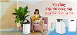 Top các dòng máy hút ẩm giá tốt nhất hiện nay