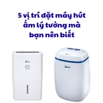 5 vị trí đặt máy hút ẩm lý tưởng mà bạn nên biết